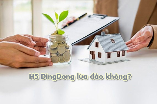 H5 DingDong lừa đảo